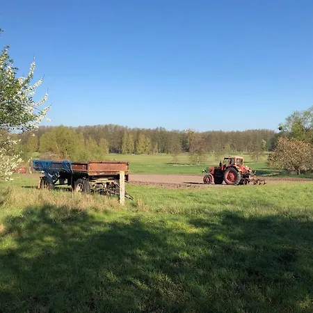 Ferienhof Uckermark Am Oberuckersee *