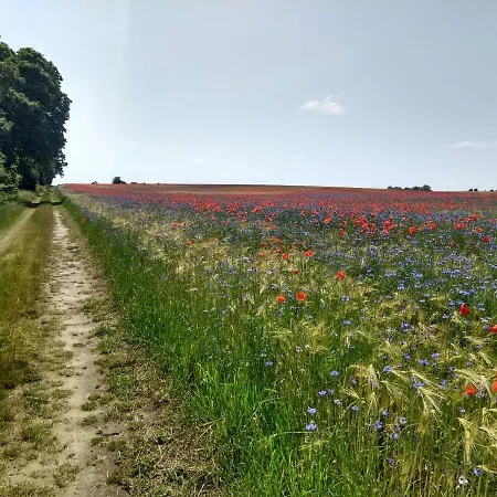Ferienhof Uckermark Am Oberuckersee * Suckow (Uckermark)